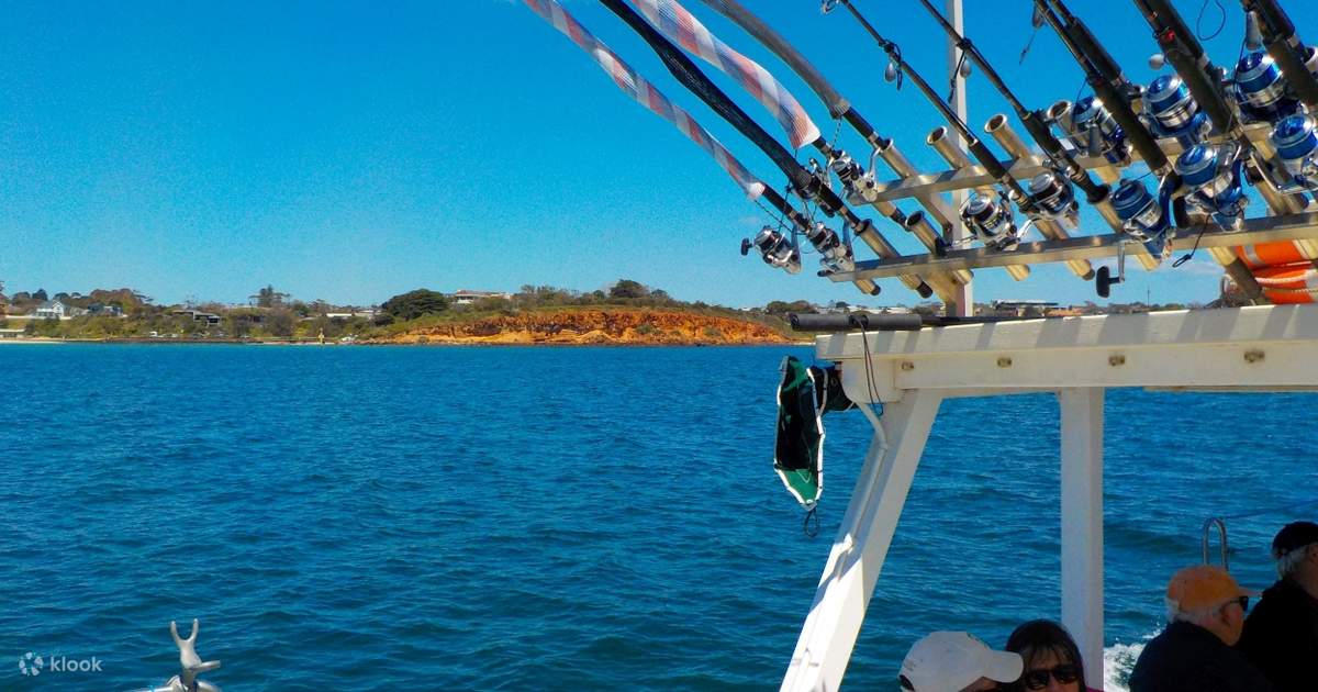 Fishing Charter Experience in Mornington Klook